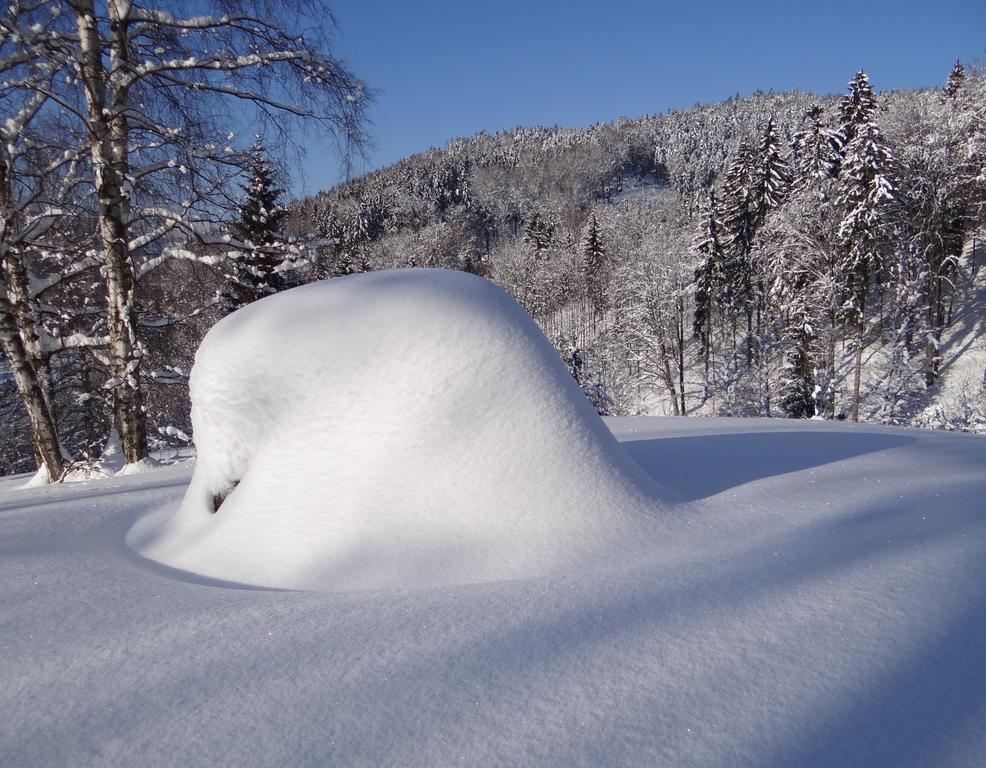 Penzion Pod Kopcem ยาโนฟ นาด นีโซว์ ภายนอก รูปภาพ